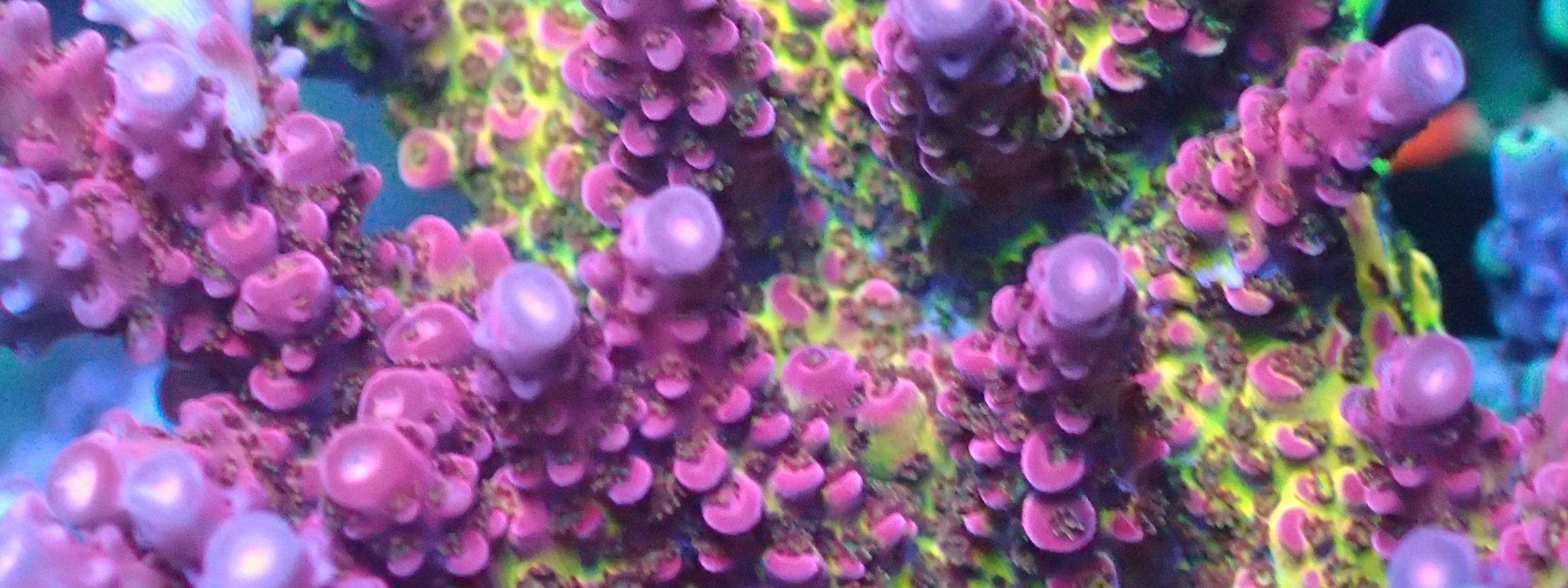 Relax & Enjoy It’s Time To Adventure