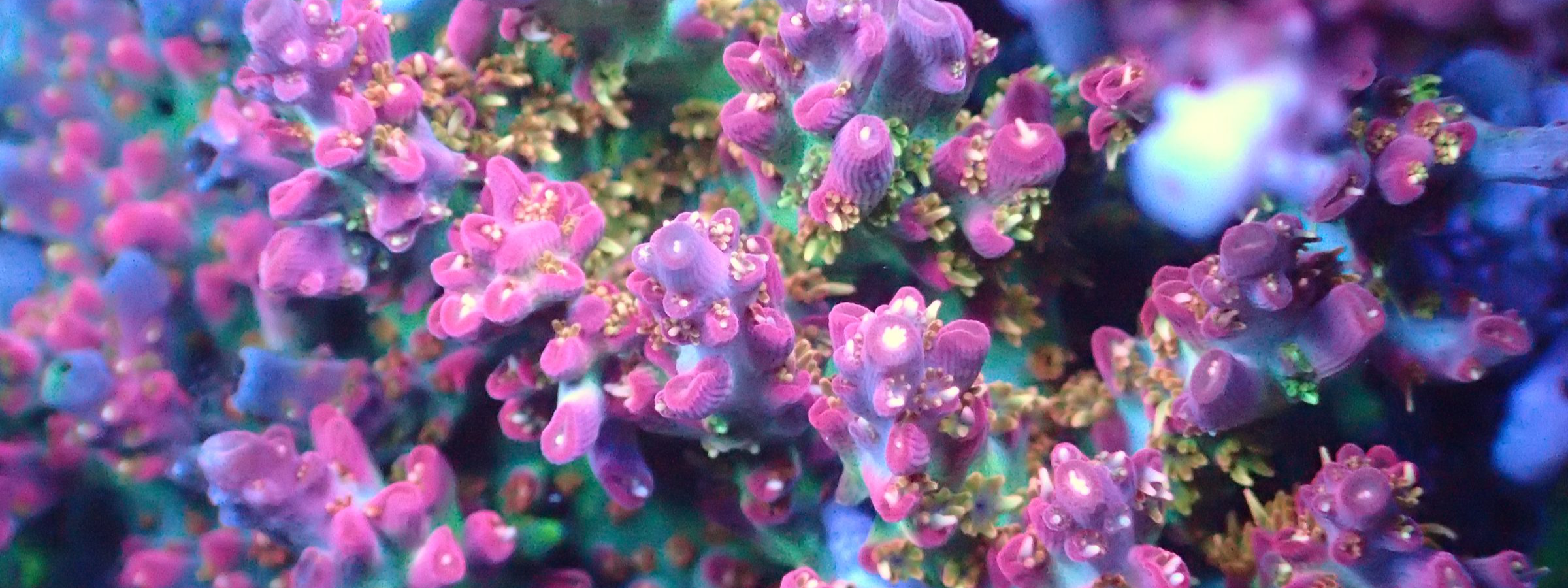 Relax & Enjoy It’s Time To Adventure